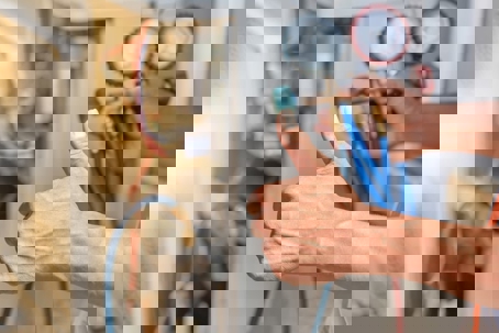 The technician is holding a manifold gauge set